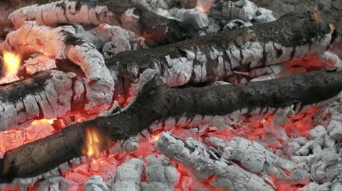 Bonfire, close up of  burning wood Stock Footage 53301121