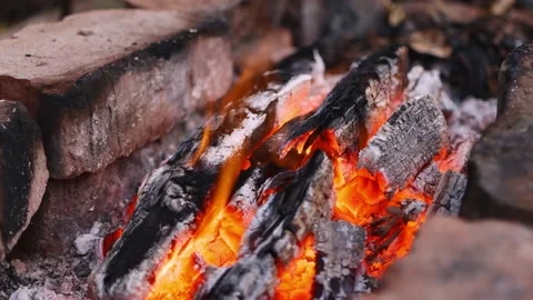 Bonfire close-up in the evening in a forest area. Stock Footage 159878037