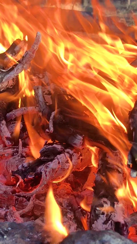 Bonfire close-up. fire close-up. Log fire close-up vertical video Stock Footage 199094636