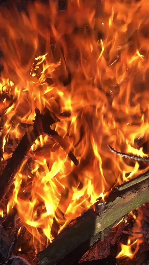 Bonfire close-up. fire close-up. Log fire close-up vertical video Stock Footage 200823738
