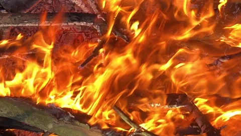 Bonfire close-up. fire close-up. Log fire close-up Video stock 201528479