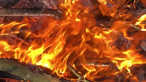 Bonfire close-up. fire close-up. Log fire close-up Vídeo Stock 203815956