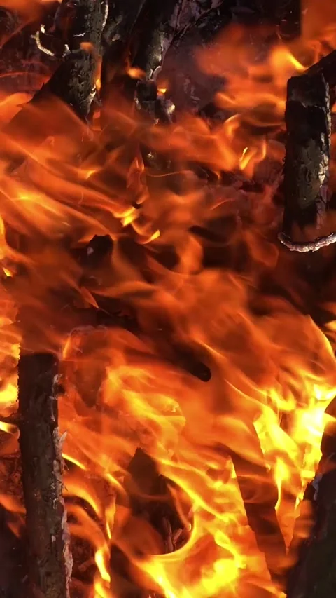 Bonfire close-up. fire close-up. Log fire close-up vertical video Stock Footage 204854249