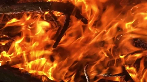 Bonfire close-up. fire close-up. Log fire close-up Stock Footage 211090267