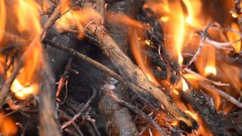 Bonfire Close Up Fire Vídeo Stock 93445463