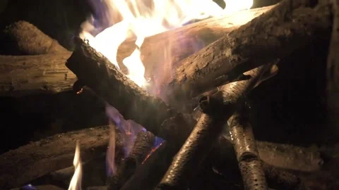 Bonfire close-up. Flame of fire. Big tree trunks, Stock Footage 140440550