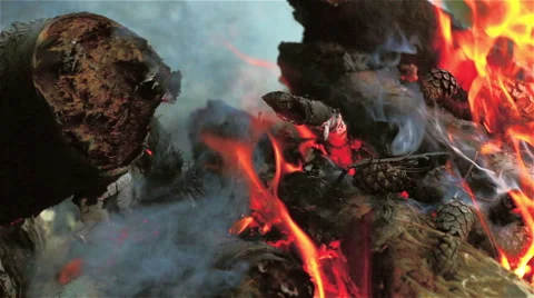 Bonfire close-up Stock Footage 45912603