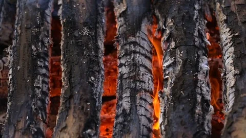 Bonfire with a close-up. Stock-Footage 84659481