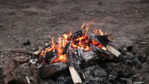 Bonfire close-up, nature background Stock Footage 204160413