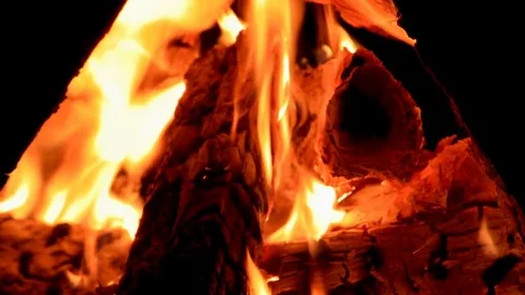 Bonfire close-up. Night. Variable focus Stock Footage