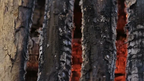 Bonfire with a close-up. panorama. Stock Footage 87951809