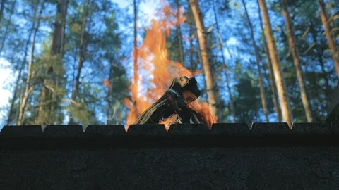 Bonfire close up with view to the trees Stock Footage 113276403