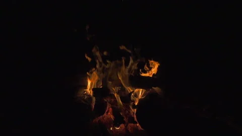 Bonfire closeup, 240 fps slow motion Video stock 97758399