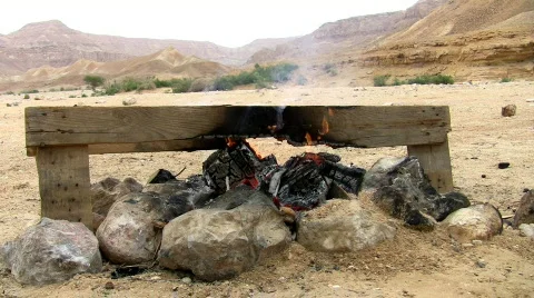 Bonfire closeup 3. Stock Footage 665545