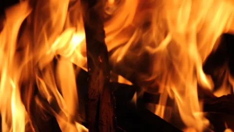 Bonfire closeup Stock Footage 4485042