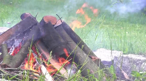 Bonfire closeup 库存影片 24683827