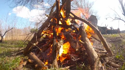 Bonfire closeup in forest in windy day Stock Footage 61826069