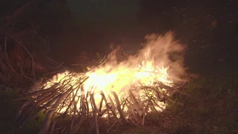 Bonfire closeup at night Stock Footage 131433315