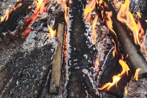 Bonfire closeup. Stock Photos