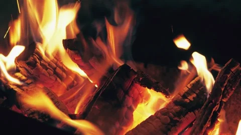 Bonfire coal silhouette burning trees closeup at night. Orange fire flames in 4k Stock Footage 146445200