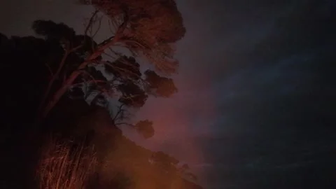 Bonfire colours and lights in the dark background of the forest at night Stock Footage 271131053