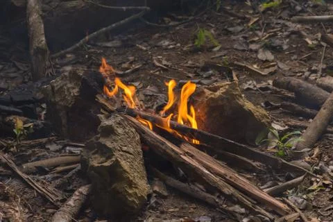 Bonfire for cooking Stock Photos
