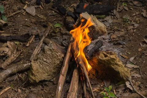 Bonfire for cooking Stock Photos