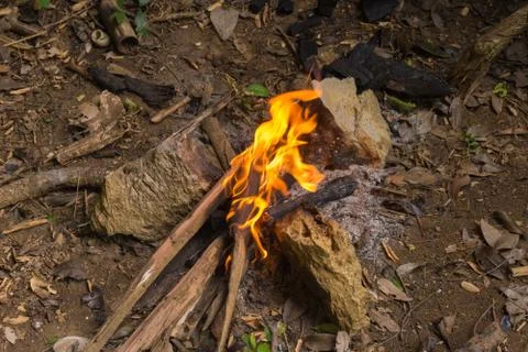 Bonfire for cooking Stock Photos