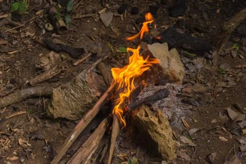 Bonfire for cooking Stock Photos
