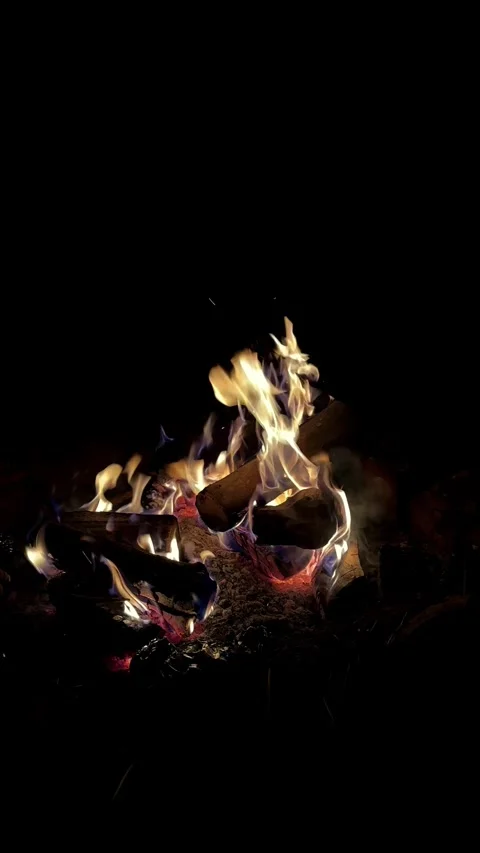 A bonfire on a dark background Stock Footage 278426716