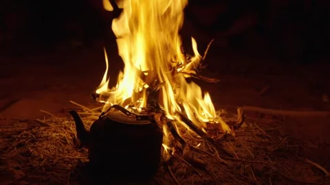 Bonfire in the dark, camping concept Stock Footage 267894085