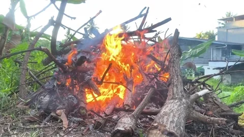 A bonfire of dry branches Stock Footage 337526935