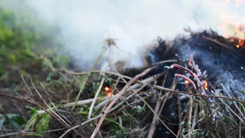Bonfire of Dry Branches in the garden Stock Footage 132312276