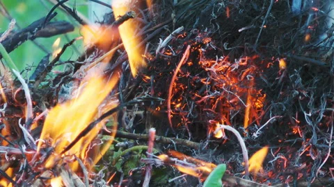 Bonfire of Dry Branches in the garden Stock Footage 134393680