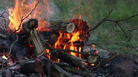 Bonfire of dry branches in the open air. Bright orange flame close-up Video stock 337420031