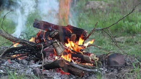 Bonfire of dry branches in the open air Vídeos de archivo 337420044