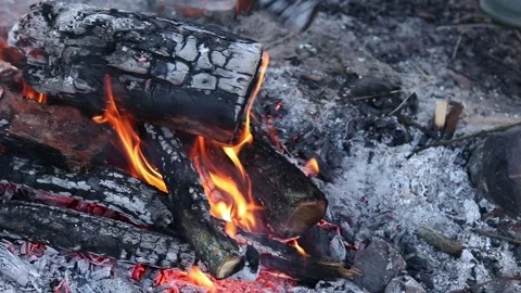 Bonfire of dry branches in the open air Stock Footage 337420051