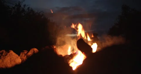 Bonfire at dusk Stock Footage 164483463