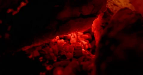 Bonfire embers Stock Footage 164484025
