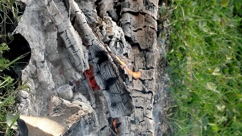 Bonfire, embers smoldering in the fire. Birch bark smoldering, close-up Stock Footage 103256510