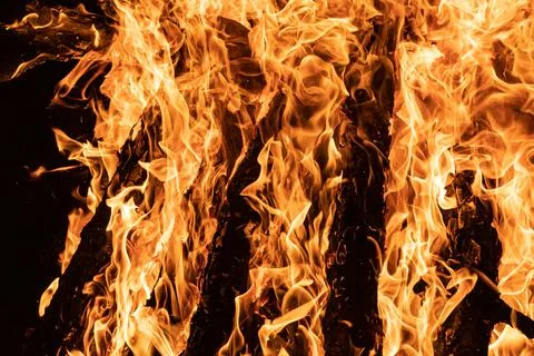 Bonfire with emphasis on the shape of the fire in its orange color, with the Stock Photos