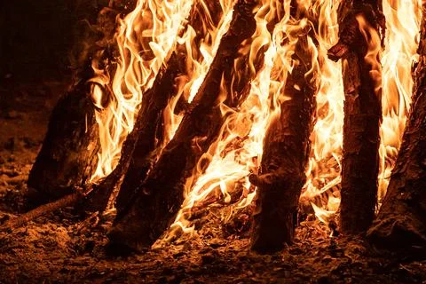 Bonfire with emphasis on the shape of the fire in its orange color, with the Stock Photos
