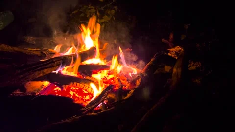 Bonfire in the evening. Hot coals of a fire. Beautiful bonfire at night. Stock Footage 278867770