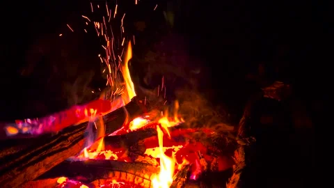 Bonfire in the evening. Hot coals of a fire. Beautiful bonfire at night. Stock Footage 280213623
