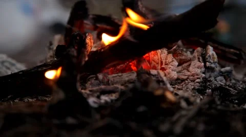 Bonfire Evening (Wood in the Fire) 動画素材 49951280