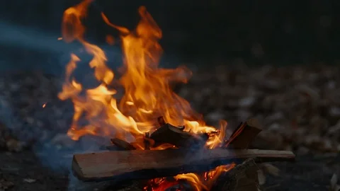 Bonfire in the fall by the lake Stock Footage 98969746