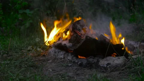 Bonfire in field close up Stock Footage 138691910
