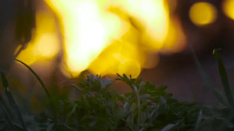 Bonfire in field close up Stock Footage 138692108