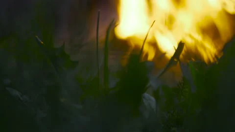 Bonfire in field close up Stock Footage 138692144