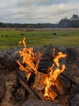 Bonfire in the field with forest on background Stock Photos